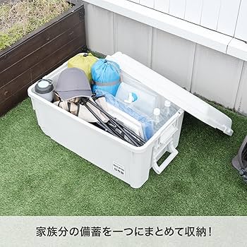 NANA断捨離中様ご注文 キャスター付き 2段ボックス コースター付き 81r3v2+sfHL._UF350,350_QL80_.jpg